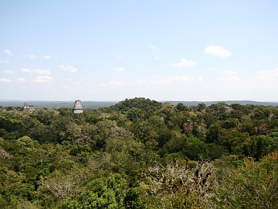 59 Tikal (7)